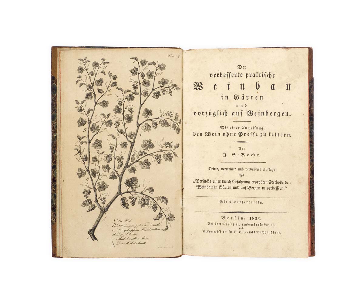 Der verbesserte praktische Weinbau in Gärten und vorzüglich auf Weinbergen … dritte, vermehrte, und verbesserte Auflage des “Versuchs einer durch Erfahrung erprobten Methode den Weinbau in Gärten und vorzüglich auf Bergen zu verbessern”. Mit 2 Kupfertafeln.